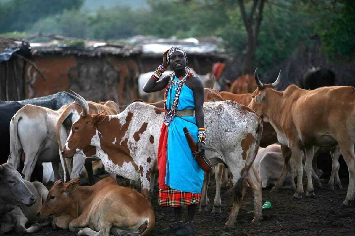 Ndito, beautiful maasai girl