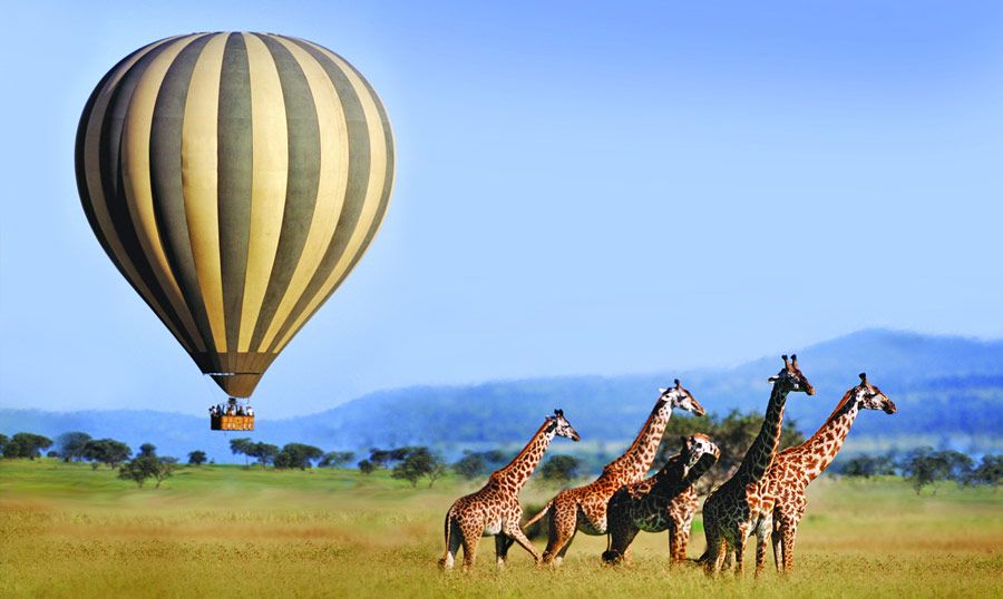 Serenegeti hot air balloon safaris